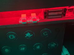-bb boom运动闯关密室·聚会团建·家庭亲子(龙湖西溪天街店)