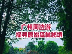 -森波拉火山温泉