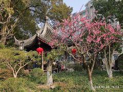 -莘庄公园