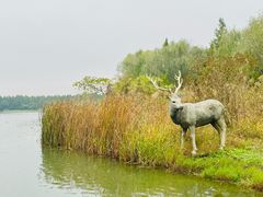 -溱湖国家湿地公园