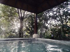 -天目湖涵田半山温泉