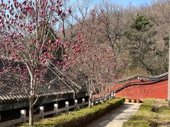 -天津盘山风景名胜区