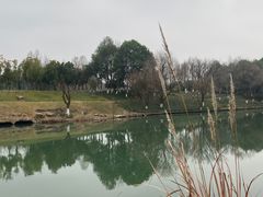 -中国湿地博物馆