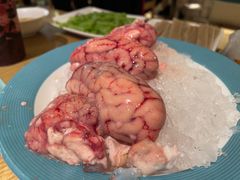 -青瓷火锅料理(西单大悦城店)