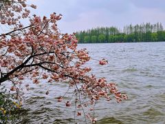 -浙江西子宾馆·瑶园咖啡厅