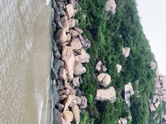 -胜记大排档·台山本地海鲜·台山黄鳝饭