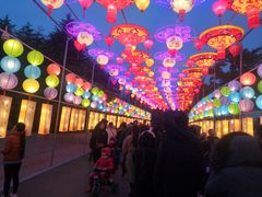 -青岛方特梦幻王国