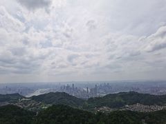 -大金鹰园