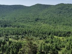 -莫尔道嘎国家森林公园