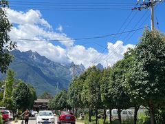 -蘑统田下·野生菌火锅