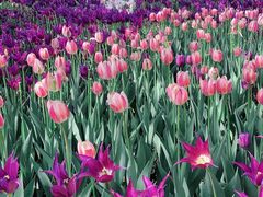 -长春公园(普阳街道)