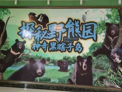 -黑瞎子岛探秘野熊园