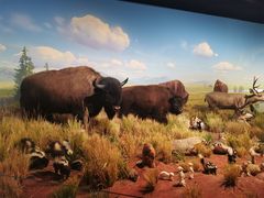 -陕西自然博物馆