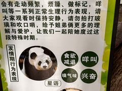 -泉州海丝野生动物世界