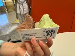-野人先生现做冰淇淋(北京王府井东方新天地店)