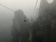 -猪脑壳凉面(武陵源店)