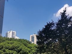 -静安公园(静安寺街道)