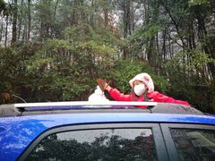 -铁山坪森林公园