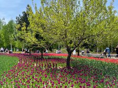 -长春公园(普阳街道)