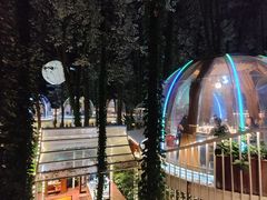 -二荆条·城市森林火锅旗舰店