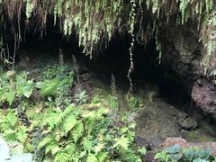 -海口火山口国家地质公园