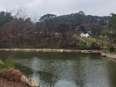 -广州市帽峰山景区