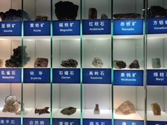 -中国地质博物馆