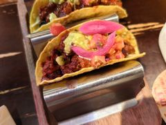 -Famous肥猫墨西哥音乐餐吧(五棵松华熙LIVE店)