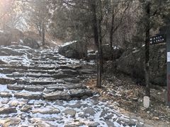 -阳台山自然风景区