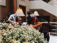 -阿什卡咖啡馆ESSCA COFFEE(塔里木石油宾馆店)