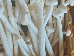 -老员外骨汤火锅(海州古城店)