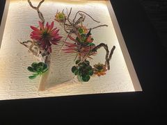 -大桶大足浴(陈春路店（3公里左右免费接送）)