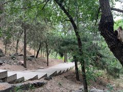-北京十三陵国家森林公园蟒山景区