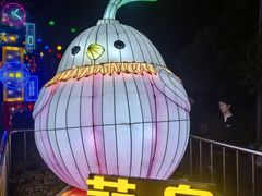 -武汉园博园(武汉自然博物馆)