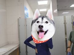 -宝安体育馆游泳馆