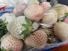 -尚田草莓姑娘白草莓采摘基地