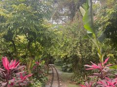 -呀路古热带植物园