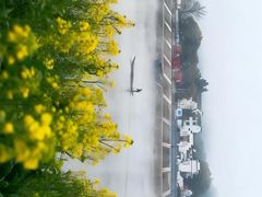 -新安江山水画廊风景区