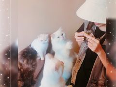 -暗黑魔法·玄灵未妖阁·塔罗·占星·心理咨询