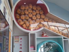 -极橙儿童齿科矫正中心(奥城店)