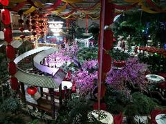 -新世纪绿洲(抚顺店)