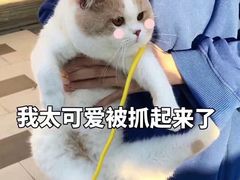-老王烫面角(北京路店)