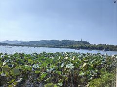 -湖畔居茶楼(湖滨店)