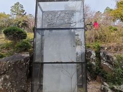 -香雪海