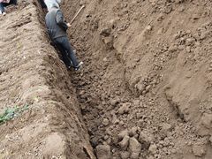 -解家河南菜(商鼎路店)