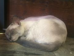 -MIKAKU(万达广场上海宝山店)