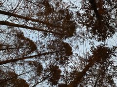 -河南省黄河迎宾馆