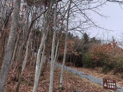 -冶父山国家森林公园