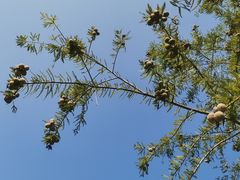 -上海植物园-4号门售票处