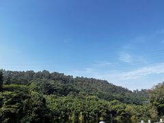 -滴水岩森林公园